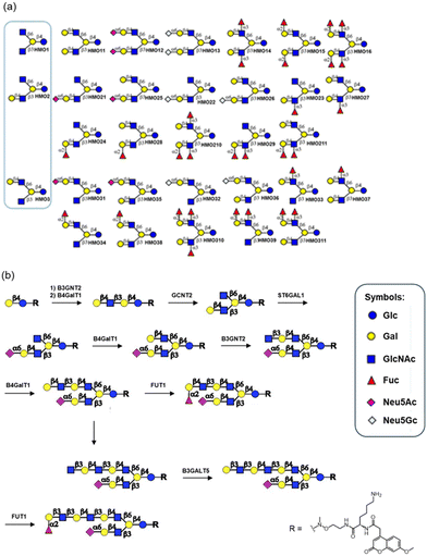 image file: d5py00938c-f4.tif