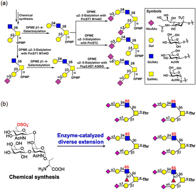 image file: d5py00938c-f6.tif