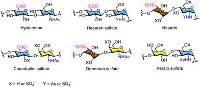 image file: d5py00938c-f7.tif