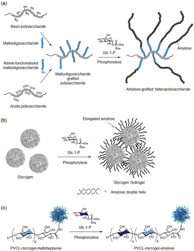 image file: d5py00938c-f9.tif