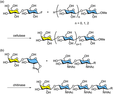 image file: d5py00938c-s10.tif