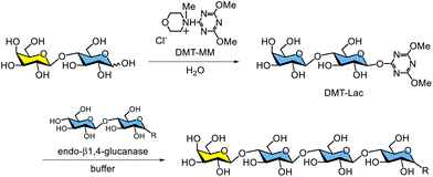 image file: d5py00938c-s11.tif