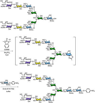 image file: d5py00938c-s14.tif