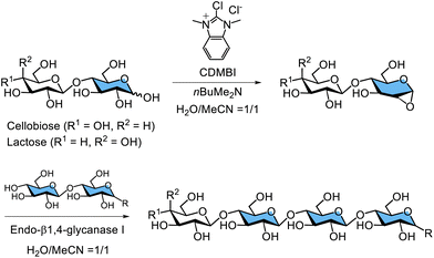 image file: d5py00938c-s15.tif
