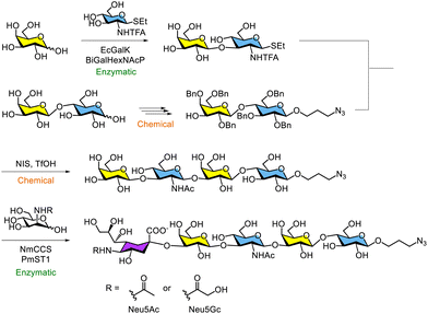 image file: d5py00938c-s2.tif