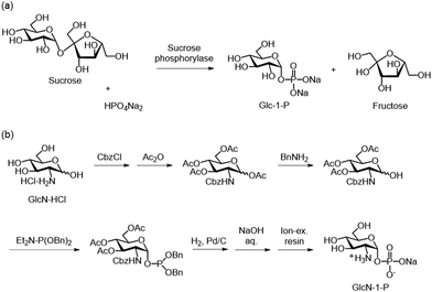 image file: d5py00938c-s6.tif