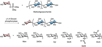 image file: d5py00938c-s8.tif