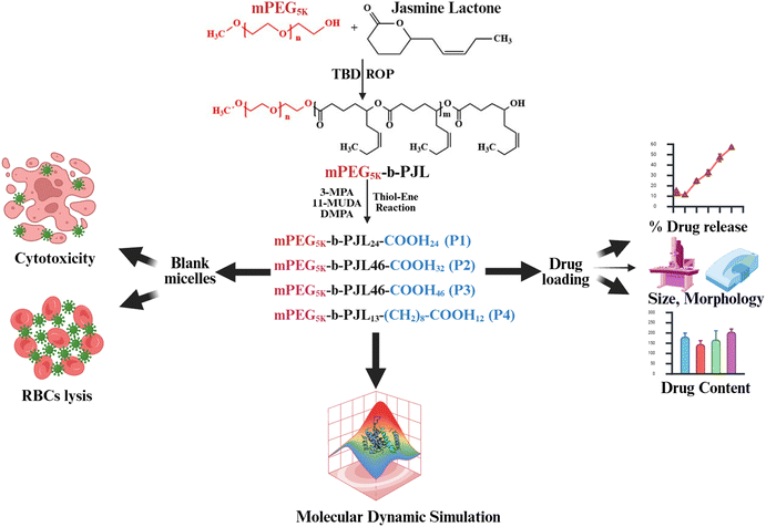 image file: d5py01016k-f1.tif