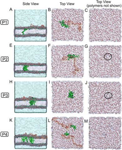 image file: d5py01016k-f10.tif