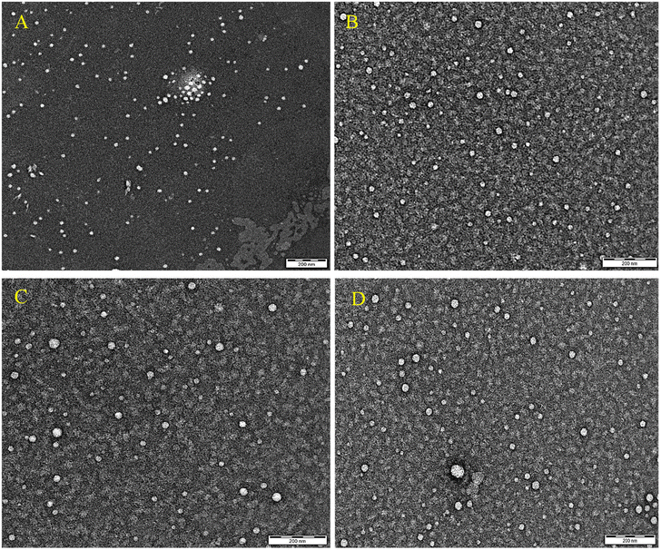 image file: d5py01016k-f4.tif