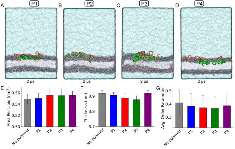 image file: d5py01016k-f9.tif