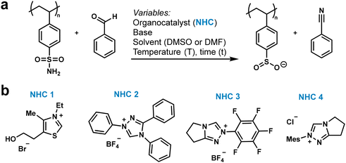 image file: d5py01024a-f1.tif
