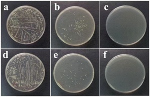 image file: d5py01036e-f11.tif