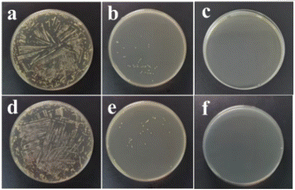 image file: d5py01036e-f12.tif