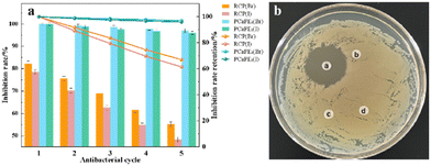 image file: d5py01036e-f15.tif