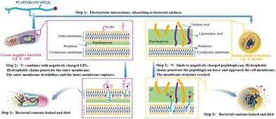 image file: d5py01036e-f16.tif