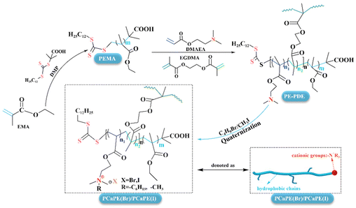 image file: d5py01036e-s1.tif