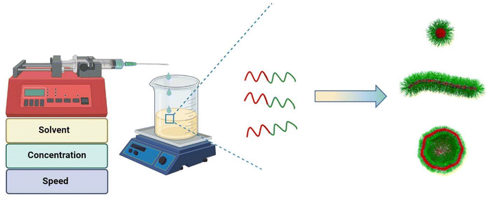 image file: d5py01038a-f2.tif
