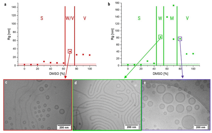 image file: d5py01038a-f4.tif