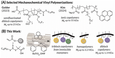 image file: d5py01061f-f1.tif