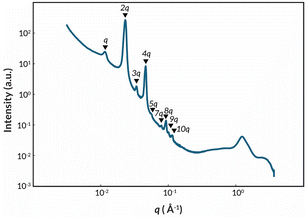 image file: d5py01061f-f4.tif