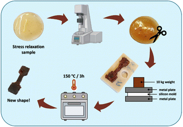 image file: d5py01069a-f10.tif