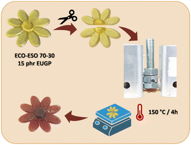 image file: d5py01069a-f11.tif