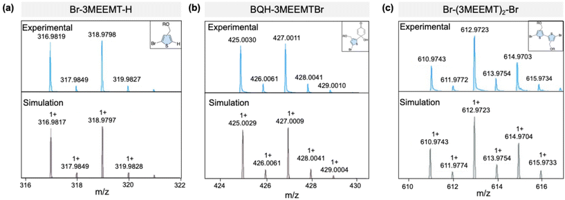 image file: d5py01139f-f4.tif