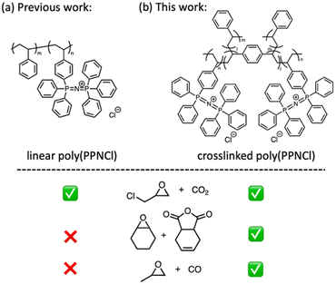 image file: d5py01143d-f1.tif
