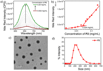 image file: d5py01148e-f3.tif