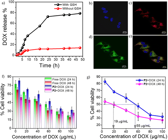 image file: d5py01148e-f6.tif