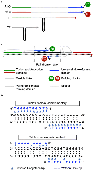 image file: d5py01159k-f1.tif