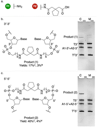 image file: d5py01159k-f2.tif