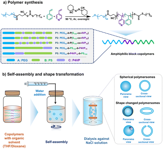 image file: d5py01163a-s1.tif