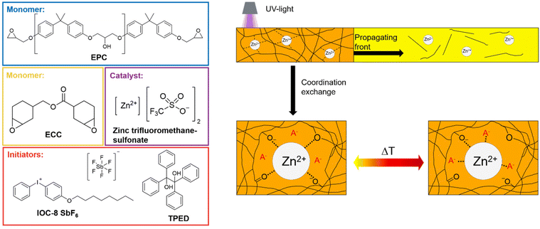 image file: d5py01170a-f1.tif