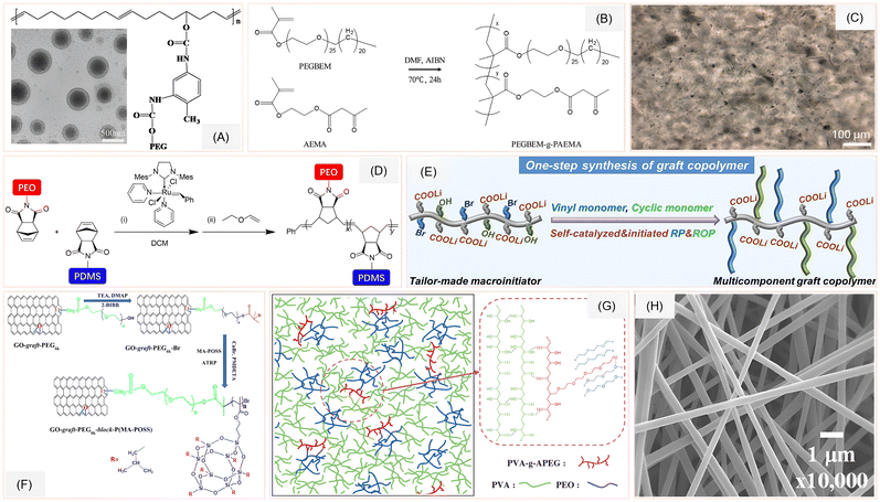 image file: d5py01177a-f3.tif