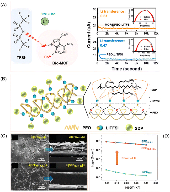 image file: d5py01177a-f5.tif