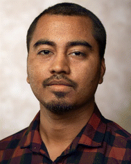 image file: d5py01177a-p1.tif