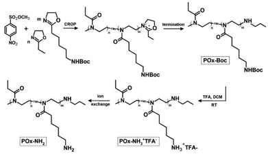 image file: d5py01190f-f1.tif