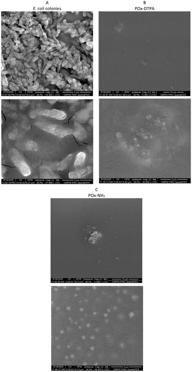 image file: d5py01190f-f9.tif