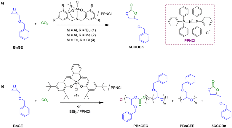 image file: d5py01191d-s1.tif