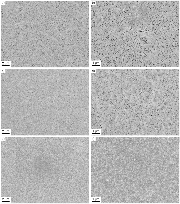 image file: d5py01203a-f3.tif