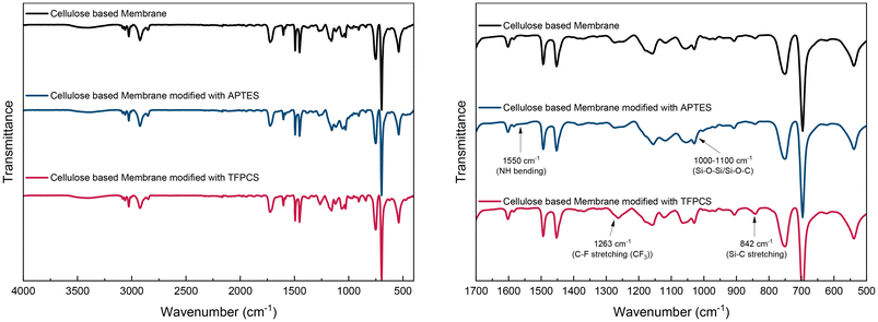 image file: d5py01203a-f4.tif