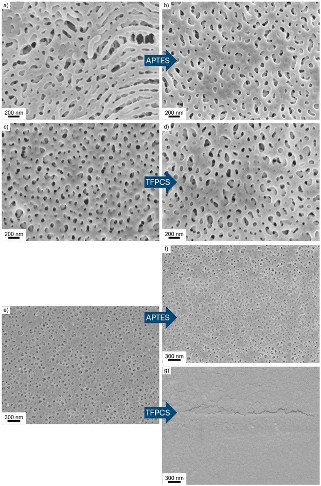 image file: d5py01203a-f5.tif