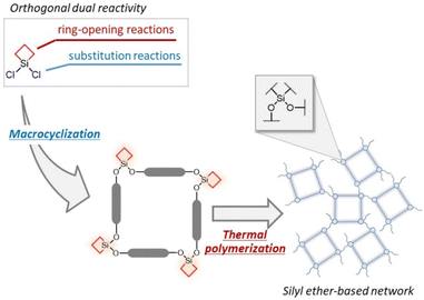 image file: d6py00035e-f1.tif