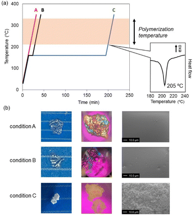 image file: d6py00035e-f4.tif