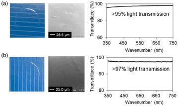 image file: d6py00035e-f5.tif