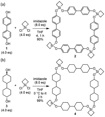 image file: d6py00035e-s1.tif