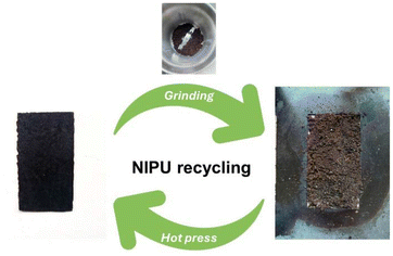 image file: d6py00044d-f6.tif