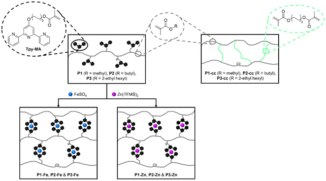 image file: d6py00053c-s1.tif